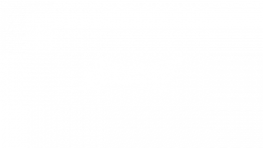 Budweiser