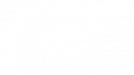 Calle 13
