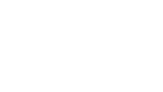 The Walt Disney Company