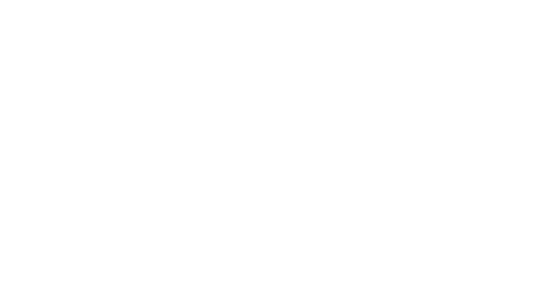 MTV Networks