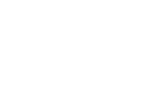 Nike Inc.