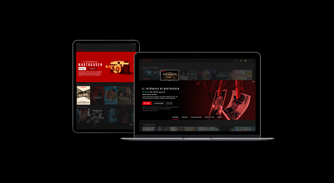 El Fotógrafo de Mathausen - Netflix platform art - Binalogue - Art direction, Design & Illustration